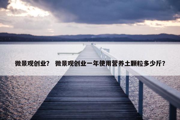 微景观创业？ 微景观创业一年使用营养土颗粒多少斤？