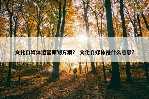 文化自媒体运营策划方案？ 文化自媒体是什么意思？