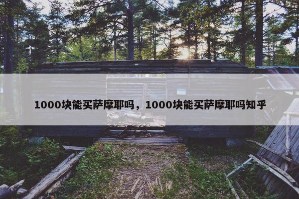 1000块能买萨摩耶吗，1000块能买萨摩耶吗知乎