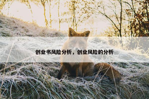 创业书风险分析，创业风险的分析