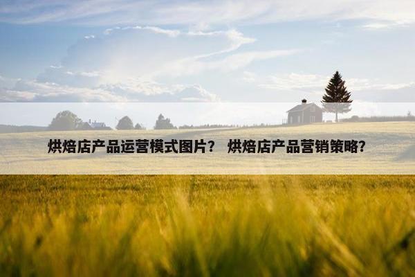 烘焙店产品运营模式图片？ 烘焙店产品营销策略？