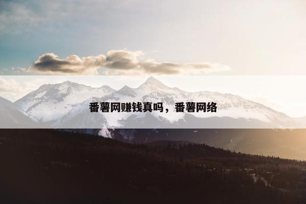 番薯网赚钱真吗，番薯网络