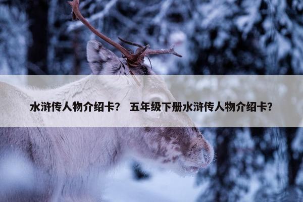 水浒传人物介绍卡？ 五年级下册水浒传人物介绍卡？