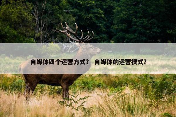 自媒体四个运营方式？ 自媒体的运营模式？