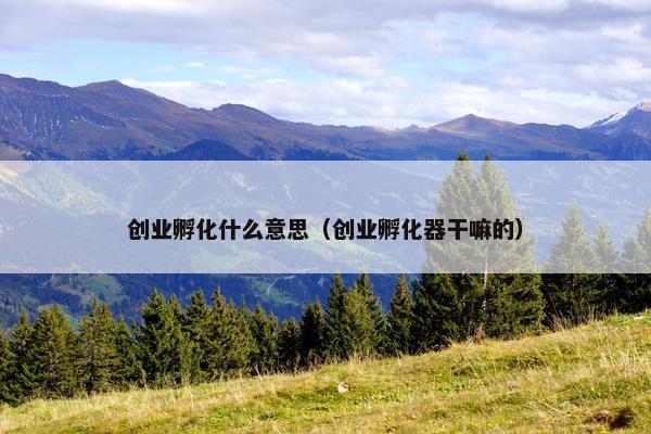 创业孵化什么意思（创业孵化器干嘛的）