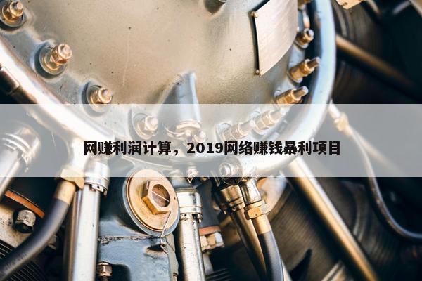 网赚利润计算，2019网络赚钱暴利项目