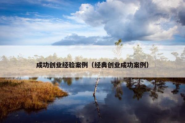 成功创业经验案例（经典创业成功案例）