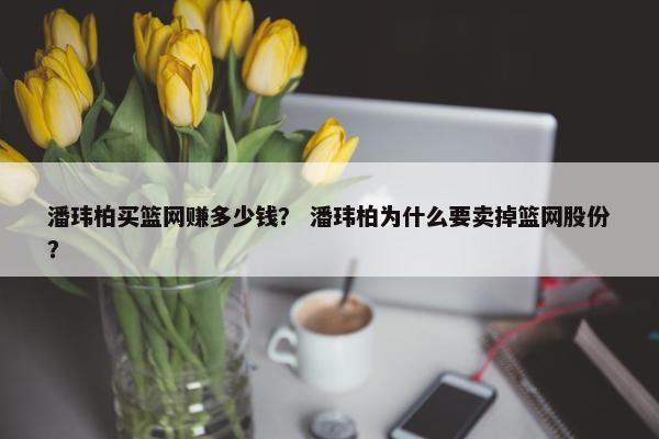潘玮柏买篮网赚多少钱？ 潘玮柏为什么要卖掉篮网股份？
