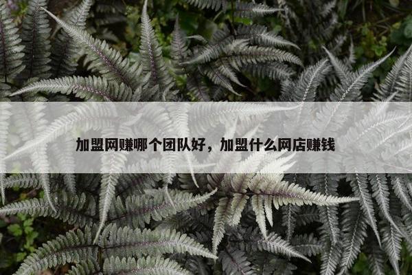 加盟网赚哪个团队好，加盟什么网店赚钱