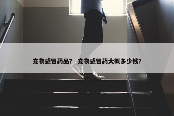 宠物感冒药品？ 宠物感冒药大概多少钱？