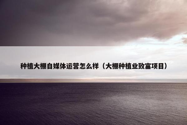 种植大棚自媒体运营怎么样（大棚种植业致富项目）