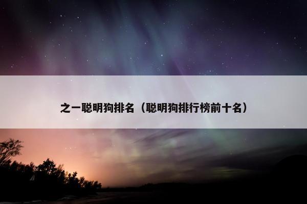 之一聪明狗排名（聪明狗排行榜前十名）