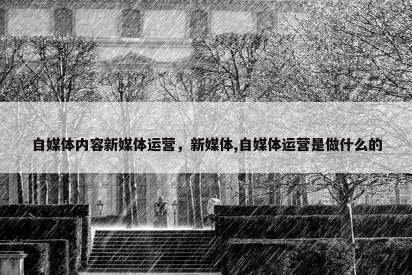自媒体内容新媒体运营，新媒体,自媒体运营是做什么的
