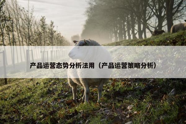 产品运营态势分析法用（产品运营策略分析）