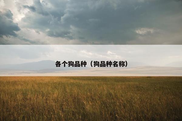 各个狗品种（狗品种名称）