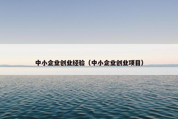 中小企业创业经验（中小企业创业项目）