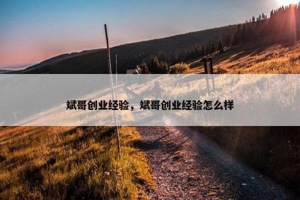 斌哥创业经验，斌哥创业经验怎么样