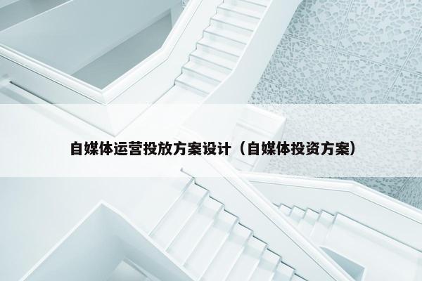 自媒体运营投放方案设计（自媒体投资方案）