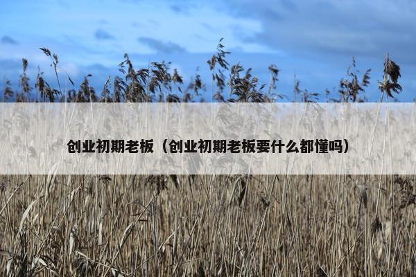 创业初期老板（创业初期老板要什么都懂吗）