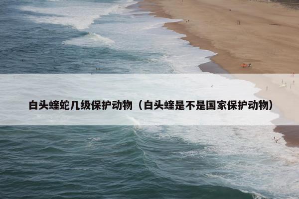 白头蝰蛇几级保护动物（白头蝰是不是国家保护动物）