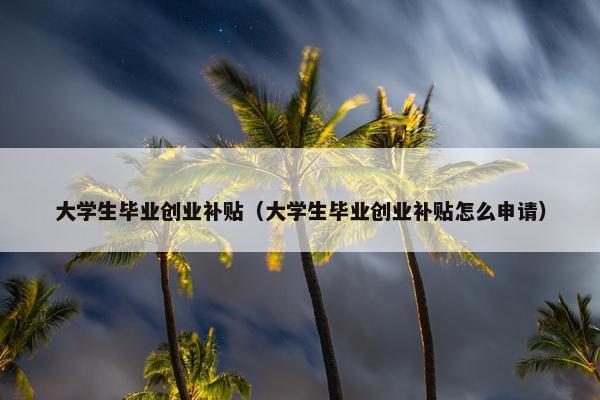 大学生毕业创业补贴（大学生毕业创业补贴怎么申请）