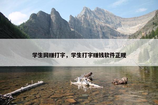 学生网赚打字，学生打字赚钱软件正规