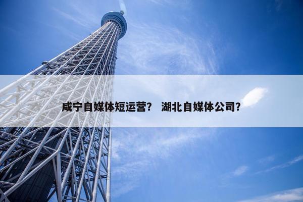 咸宁自媒体短运营？ 湖北自媒体公司？