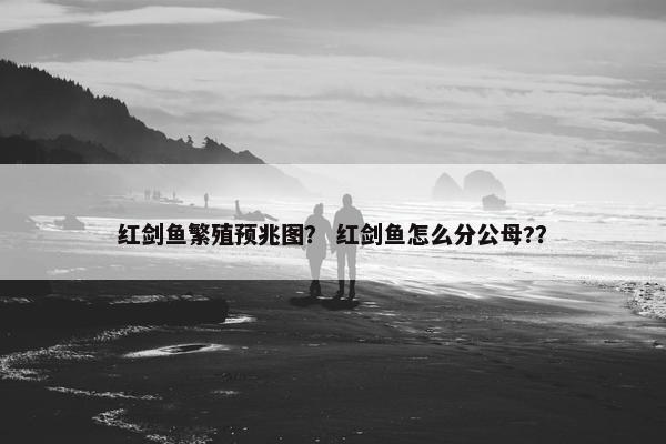 红剑鱼繁殖预兆图？ 红剑鱼怎么分公母?？