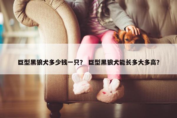 巨型黑狼犬多少钱一只？ 巨型黑狼犬能长多大多高？