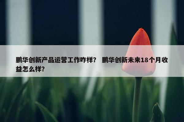 鹏华创新产品运营工作咋样？ 鹏华创新未来18个月收益怎么样？