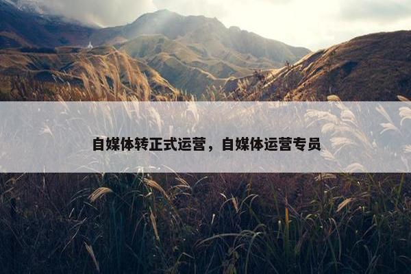 自媒体转正式运营，自媒体运营专员
