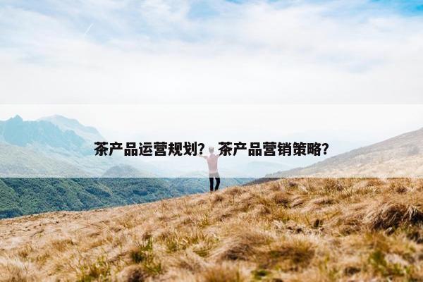 茶产品运营规划？ 茶产品营销策略？