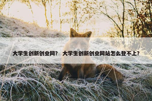 大学生创新创业网？ 大学生创新创业网站怎么登不上？