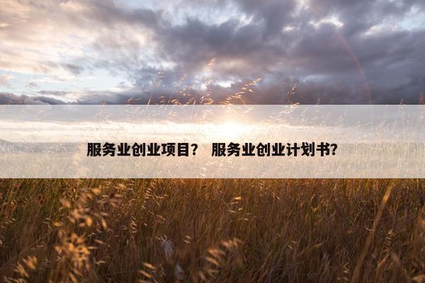 服务业创业项目？ 服务业创业计划书？