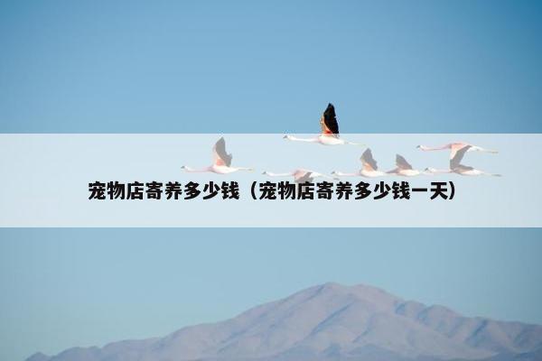 宠物店寄养多少钱（宠物店寄养多少钱一天）