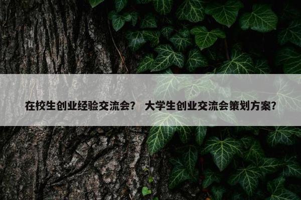 在校生创业经验交流会？ 大学生创业交流会策划方案？
