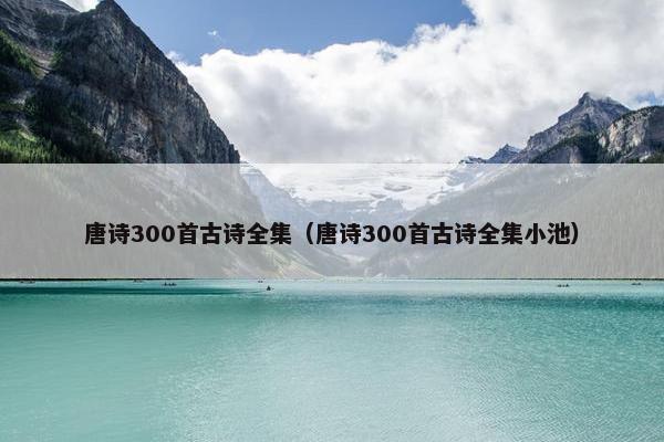唐诗300首古诗全集（唐诗300首古诗全集小池）