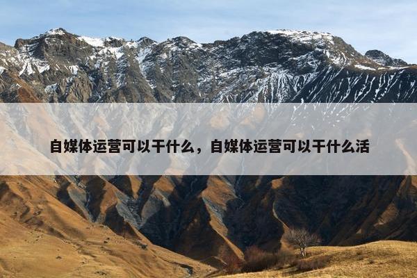 自媒体运营可以干什么，自媒体运营可以干什么活