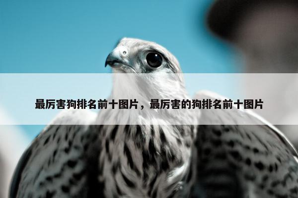 最厉害狗排名前十图片，最厉害的狗排名前十图片