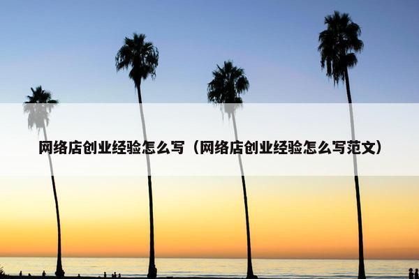 网络店创业经验怎么写（网络店创业经验怎么写范文）