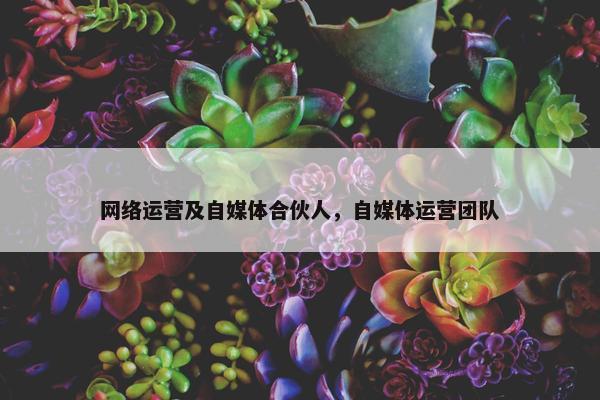 网络运营及自媒体合伙人，自媒体运营团队