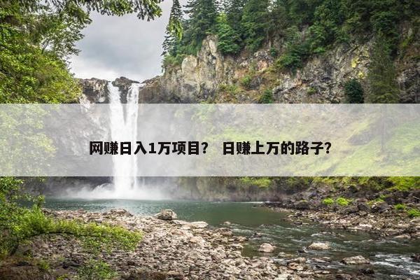网赚日入1万项目？ 日赚上万的路子？