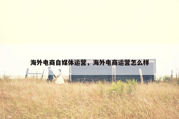海外电商自媒体运营，海外电商运营怎么样