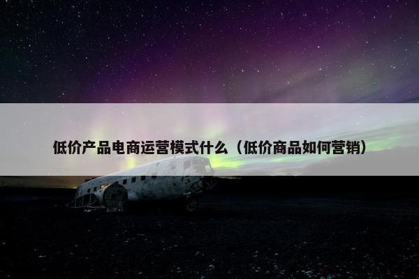 低价产品电商运营模式什么（低价商品如何营销）