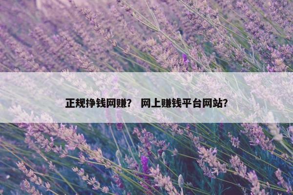 正规挣钱网赚？ 网上赚钱平台网站？