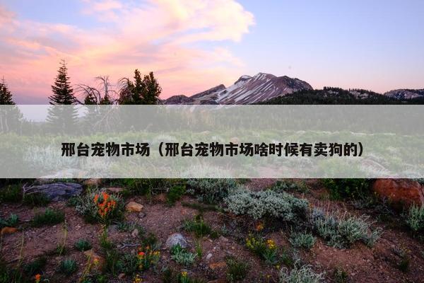 邢台宠物市场（邢台宠物市场啥时候有卖狗的）