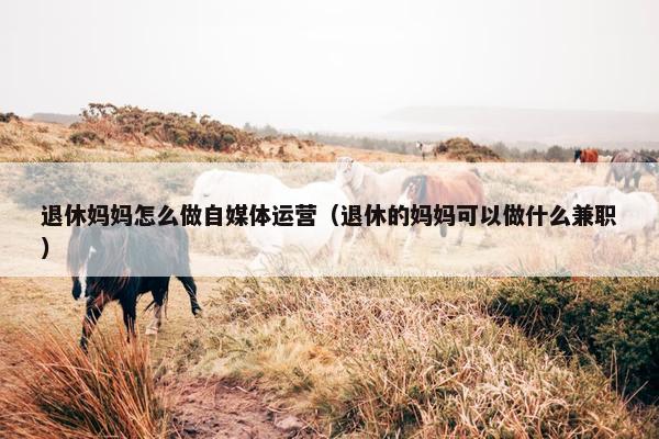 退休妈妈怎么做自媒体运营（退休的妈妈可以做什么兼职）