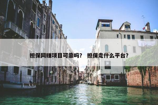 担保网赚项目可靠吗？ 担保走什么平台？