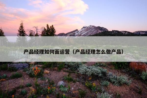 产品经理如何面运营（产品经理怎么做产品）