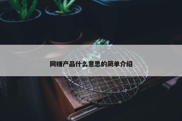 网赚产品什么意思的简单介绍